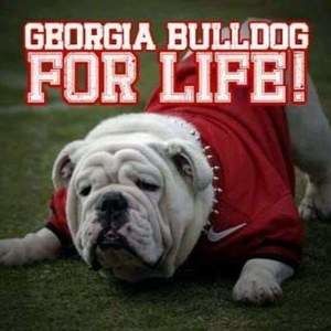 Meet your Posher, Bradley